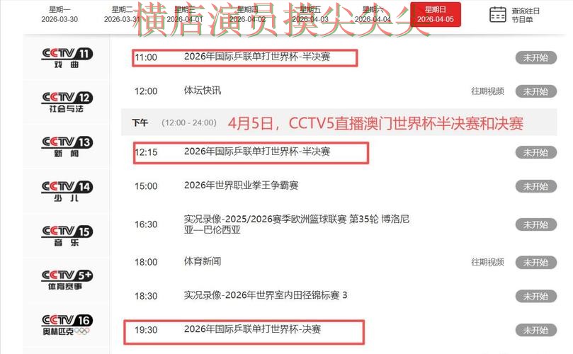 世界杯投注平台合集全面分析报告：直播入口+直播与实际体验总结 - 世界杯全球总决赛